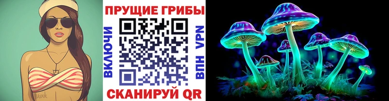 Купить где  Нерехта  Галлюциногенные грибы Magic Shrooms 