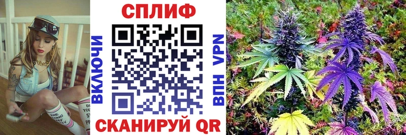 Купить где  Нерехта  Канабис THC 21% 
